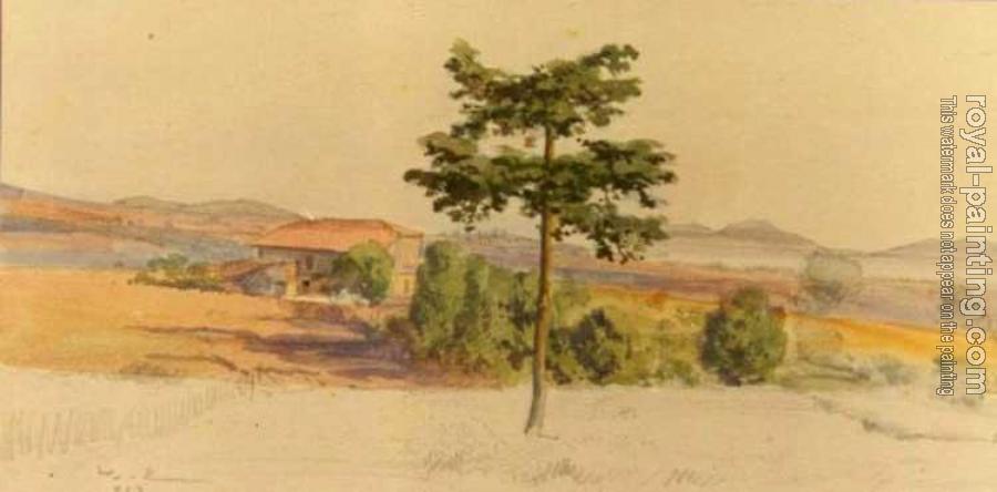 Hoca Ali Riza : Camlica'dan Hoca Ali Riza : Camlica'dan